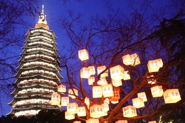Blessing Trees Illuminate Changzhou Park with Festive Lanterns Blessing_Trees_Illuminate_Changzhou_Park_with_Festive_Lanterns