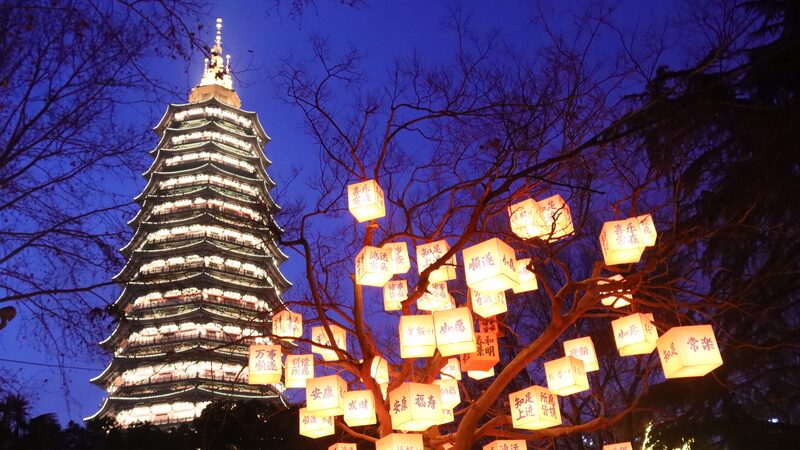Blessing_Trees_Illuminate_Changzhou_Park_with_Festive_Lanterns
