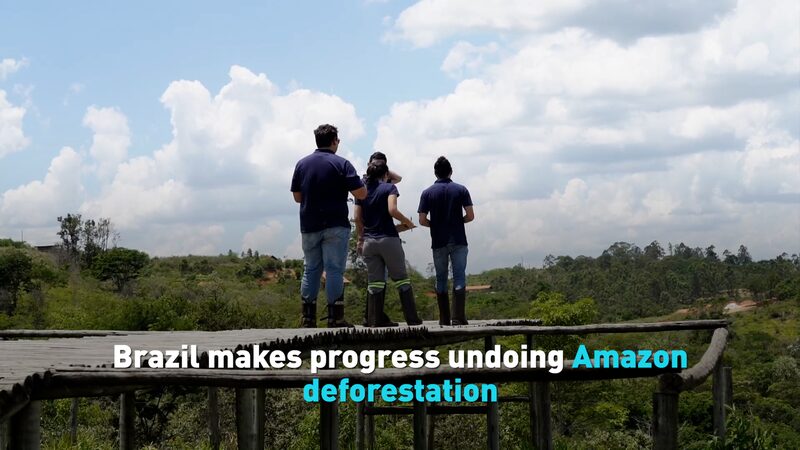 Brazil_Takes_Major_Steps_to_Reverse_Amazon_Deforestation_poster - Khabar Asia Brazil_Takes_Major_Steps_to_Reverse_Amazon_Deforestation video poster