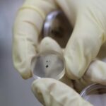 Chang_e_6_Moon_Samples_Confirm_Early__Magma_Ocean__Hypothesis