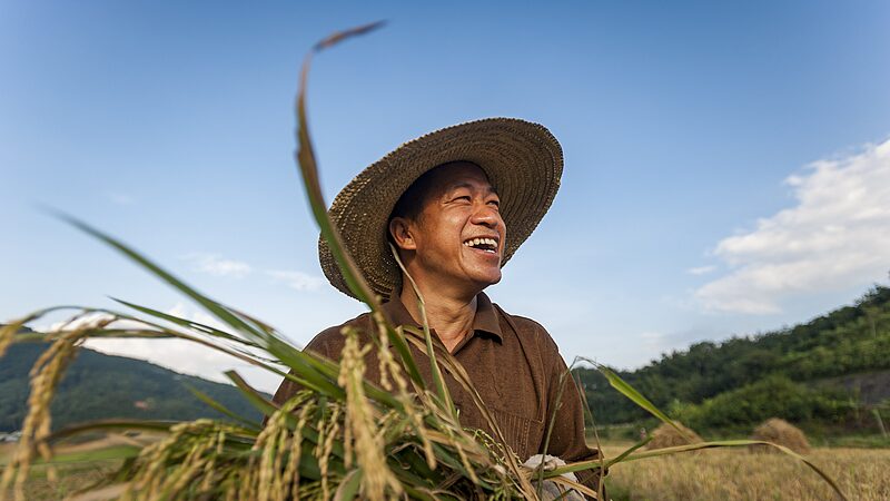 China_Unveils_2025__No__1_Document__to_Boost_Rural_Revitalization