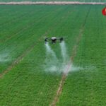 China_Unveils_Comprehensive_Rural_Development_Blueprint_for_2025