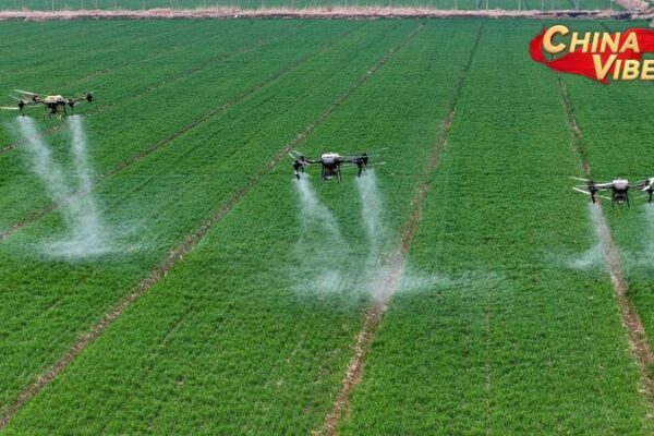 China Unveils Comprehensive Rural Development Blueprint for 2025 China_Unveils_Comprehensive_Rural_Development_Blueprint_for_2025