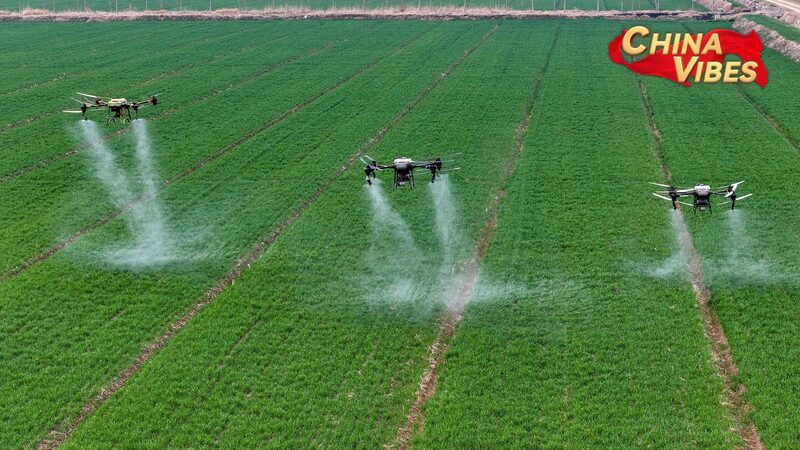 China_Unveils_Comprehensive_Rural_Development_Blueprint_for_2025