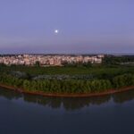 China_Unveils_First_Standards_for_Precise_Mangrove_Restoration