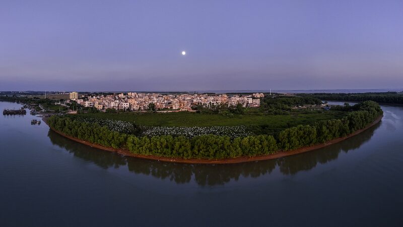 China_Unveils_First_Standards_for_Precise_Mangrove_Restoration - Khabar Asia China_Unveils_First_Standards_for_Precise_Mangrove_Restoration