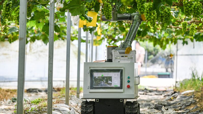 China_s_2025_Central_Document_Emphasizes_Tech_Innovation_in_Agriculture - Khabar Asia China_s_2025_Central_Document_Emphasizes_Tech_Innovation_in_Agriculture