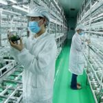 China_s_Central_Document_Unveils_New_Strategies_to_Boost_Agricultural_Productivity video poster