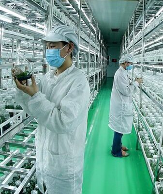 China’s Central Document Unveils New Strategies to Boost Agricultural Productivity China_s_Central_Document_Unveils_New_Strategies_to_Boost_Agricultural_Productivity video poster