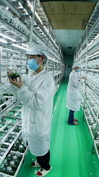 China_s_Central_Document_Unveils_New_Strategies_to_Boost_Agricultural_Productivity_poster - Khabar Asia China_s_Central_Document_Unveils_New_Strategies_to_Boost_Agricultural_Productivity video poster