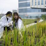 China_s_New_Central_Document_Champions_Advanced_Agricultural_Technologies