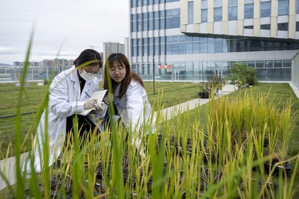 China’s New Central Document Champions Advanced Agricultural Technologies China_s_New_Central_Document_Champions_Advanced_Agricultural_Technologies
