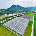 China_s_No_1_Central_Document_Prioritizes_Agricultural_Technology_for_Food_Security