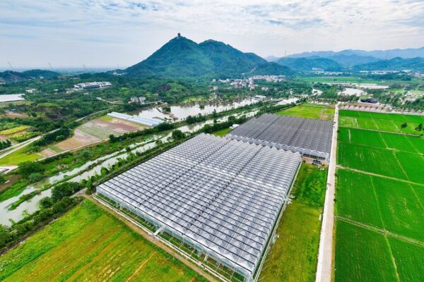 China_s_No_1_Central_Document_Prioritizes_Agricultural_Technology_for_Food_Security