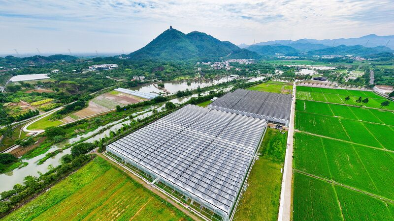 China_s_No_1_Central_Document_Prioritizes_Agricultural_Technology_for_Food_Security - Khabar Asia China_s_No_1_Central_Document_Prioritizes_Agricultural_Technology_for_Food_Security