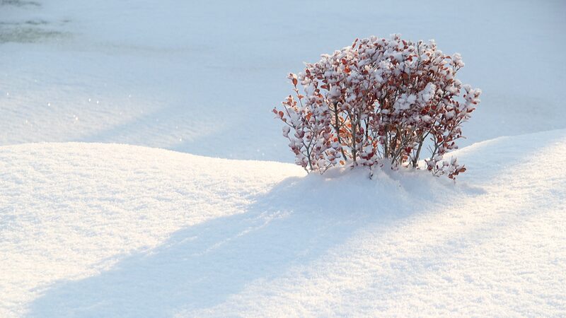 Climate_Change_Mitigates_Severe_Cold_Waves_in_Asia__New_Study_Finds - Khabar Asia Climate_Change_Mitigates_Severe_Cold_Waves_in_Asia__New_Study_Finds