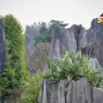 Discover_Shenjian_Stone_Forest__Guangxi_s_Majestic_Karst_Landscape video poster