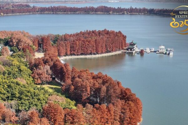 Discover_Wuhan__A_Blend_of_Historical_Grandeur_and_Modern_Vibrancy video poster