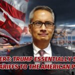Expert_Highlights_Impact_of_Trump_s_Tariffs_on_American_Consumers video poster
