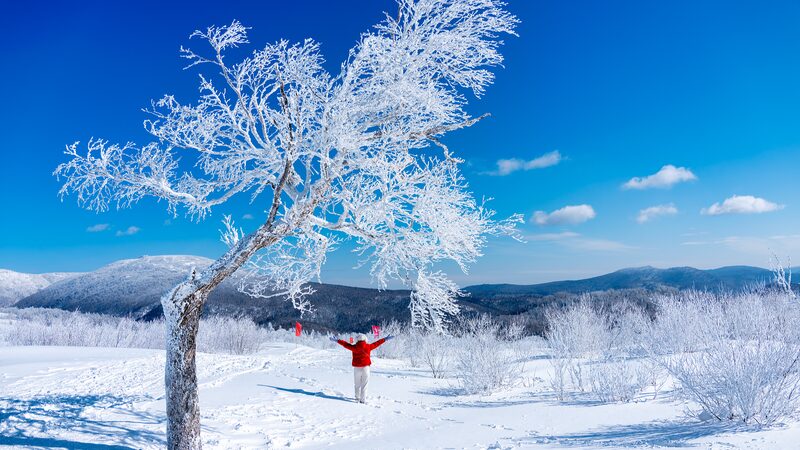 Explore_the_Winter_Magic_of_Yangcao_Mountain_in_China_Snow_Town - Khabar Asia Explore_the_Winter_Magic_of_Yangcao_Mountain_in_China_Snow_Town