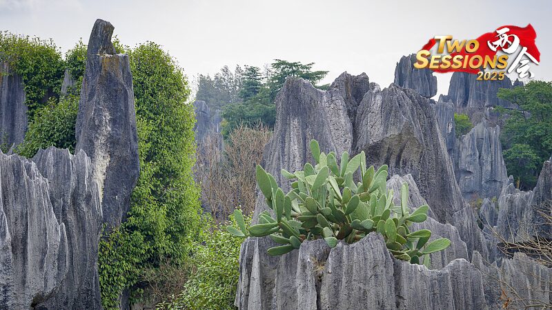 Exploring Shenjian Stone Forest: Guangxi’s Karst Wonderland Exploring_Shenjian_Stone_Forest__Guangxi_s_Karst_Wonderland video poster