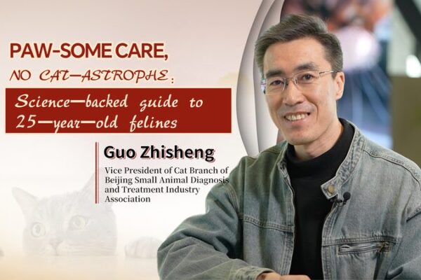 Extend Your Cat’s Life: Dr. Guo’s Guide to a 25-Year-Old Feline Extend_Your_Cat_s_Life__Dr__Guo_s_Guide_to_a_25_Year_Old_Feline video poster