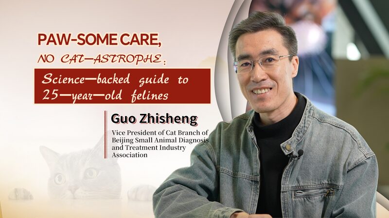 Extend_Your_Cat_s_Life__Dr__Guo_s_Guide_to_a_25_Year_Old_Feline video poster