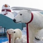 Harbin_Polarpark_Draws_Crowds_with_Festive_Performances_During_Spring_Festival_Holiday