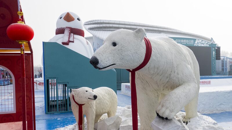 Harbin_Polarpark_Draws_Crowds_with_Festive_Performances_During_Spring_Festival_Holiday