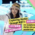 Harbin_Transforms_into_Winter_Wonderland_with_Stunning_Ice_Sculptures video poster