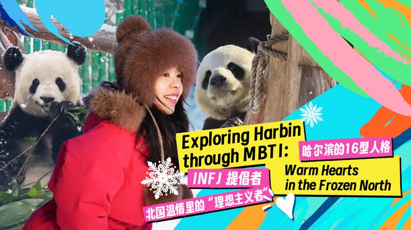 Harbin_s_Pandas__Warm_Hearts_in_the_Frozen_North_poster - Khabar Asia Harbin_s_Pandas__Warm_Hearts_in_the_Frozen_North video poster