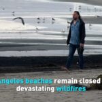 Los_Angeles_Beaches_Remain_Closed_Amid_Toxic_Runoff_After_Wildfires video poster