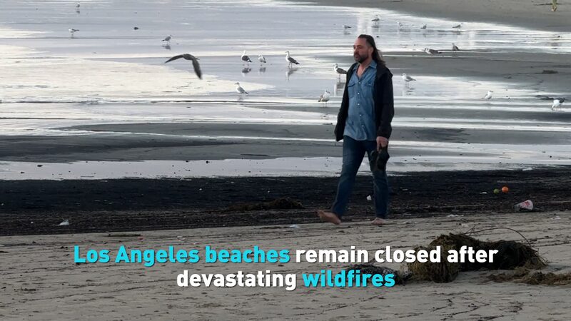 Los_Angeles_Beaches_Remain_Closed_Amid_Toxic_Runoff_After_Wildfires_poster - Khabar Asia Los_Angeles_Beaches_Remain_Closed_Amid_Toxic_Runoff_After_Wildfires video poster
