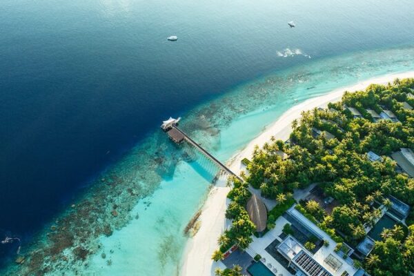 Maldives_Commits_to_Plant_2_Million_Trees_by_2025_to_Combat_Climate_Change