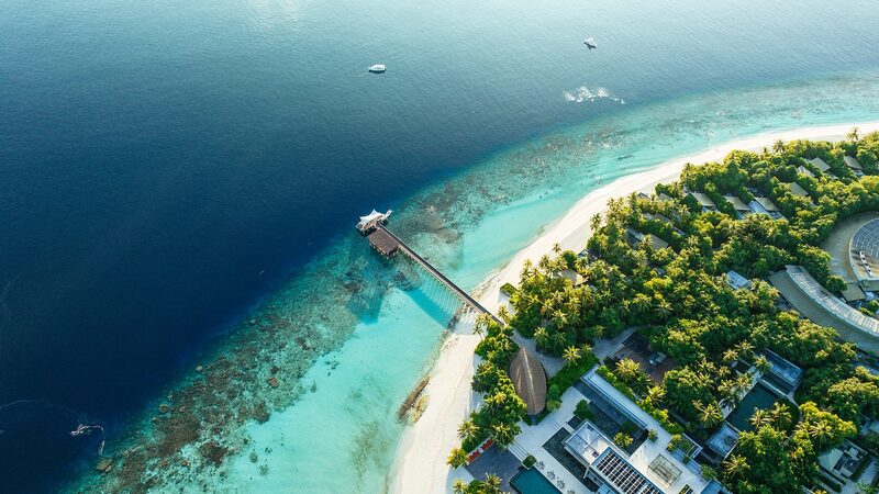 Maldives_Commits_to_Plant_2_Million_Trees_by_2025_to_Combat_Climate_Change