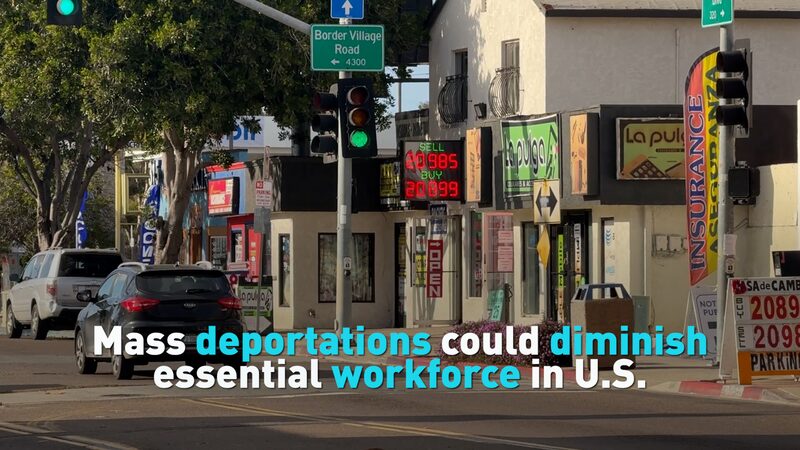 Mass_Deportations_Could_Shrink_Essential_U_S__Workforce video poster
