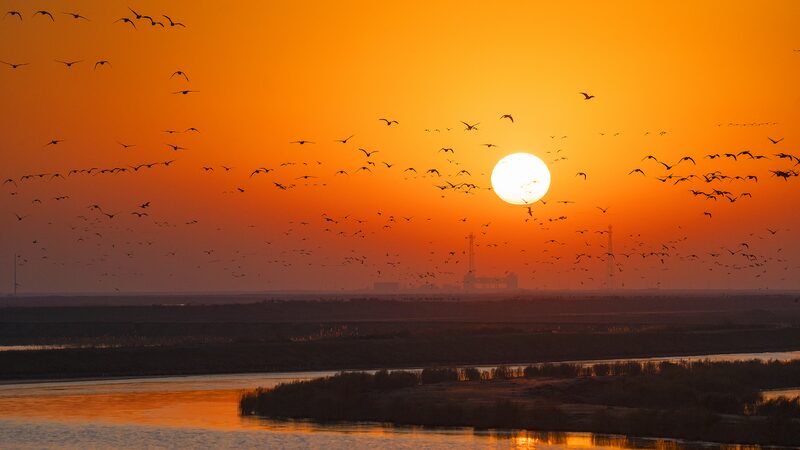 Migratory_Birds_Grace_Yellow_River_Amidst_Melting_Ice_in_Shandong video poster