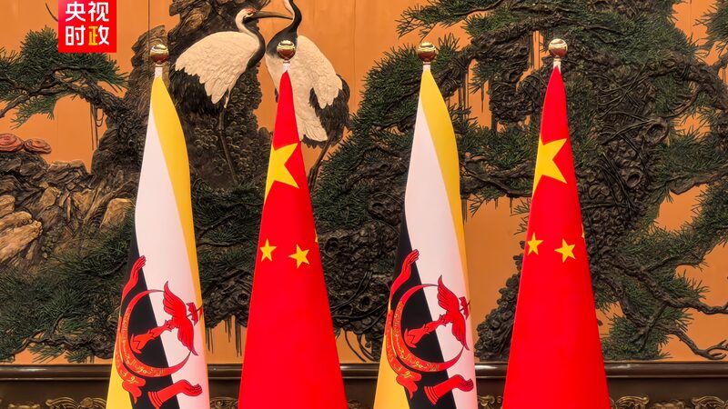 President_Xi_Jinping_Meets_Brunei_s_Sultan_in_Beijing_to_Enhance_Bilateral_Relations