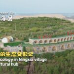 Revitalized_Ecology_Transforms_Ningxia_s_Longwangba_into_Cultural_Hub video poster