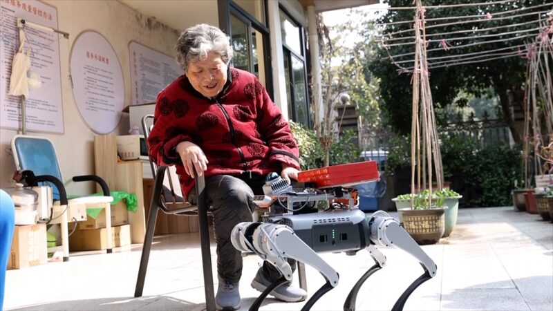 Robot Dog Enhances Elderly Care in Hangzhou Center Robot_Dog_Enhances_Elderly_Care_in_Hangzhou_Center video poster
