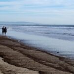 Scientists_Investigate_Ocean_Contamination_from_LA_Wildfires - Khabar Asia Scientists_Investigate_Ocean_Contamination_from_LA_Wildfires
