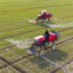 The_Chinese_Mainland_Enhances_Rural_Dynamism_with_New_Reforms video poster