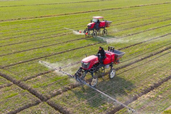 The Chinese Mainland Enhances Rural Dynamism with New Reforms The_Chinese_Mainland_Enhances_Rural_Dynamism_with_New_Reforms video poster