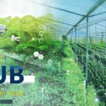 The_Chinese_Mainland_Unveils_New_Agricultural_Code_to_Boost_Smart_Farming_and_Rural_Revival video poster