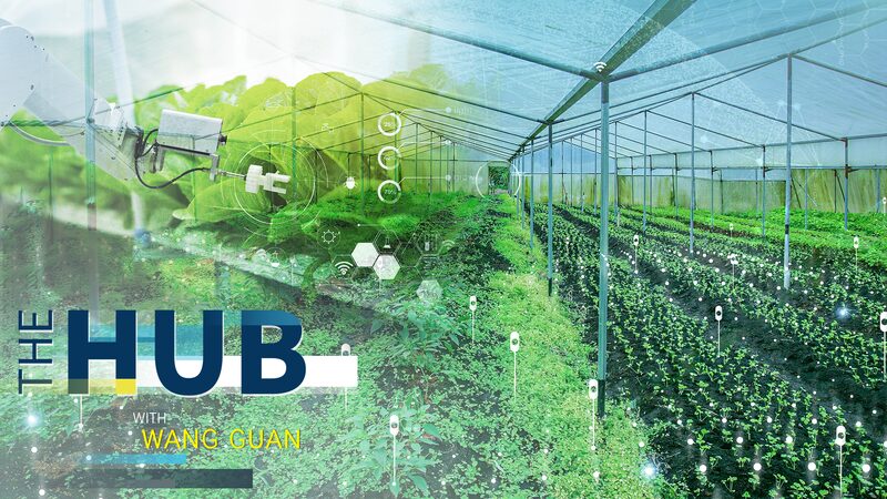 The_Chinese_Mainland_Unveils_New_Agricultural_Code_to_Boost_Smart_Farming_and_Rural_Revival_poster - Khabar Asia The_Chinese_Mainland_Unveils_New_Agricultural_Code_to_Boost_Smart_Farming_and_Rural_Revival video poster