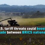 US_Tariffs_May_Enhance_Trade_Among_BRICS_Nations video poster