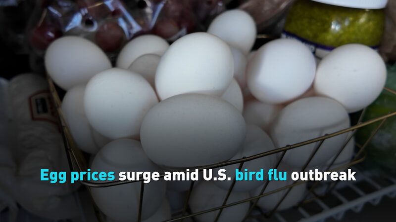 U_S__Bird_Flu_Outbreak_Causes_Egg_Prices_to_Soar_poster - Khabar Asia U_S__Bird_Flu_Outbreak_Causes_Egg_Prices_to_Soar video poster