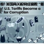U_S__Tariffs_Become_Catalyst_for_Corruption__Says_Economist video poster