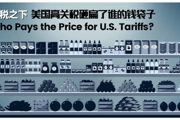 U.S. Tariffs on Imports: Who’s Bearing the Cost? U_S__Tariffs_on_Imports__Who_s_Bearing_the_Cost_ video poster