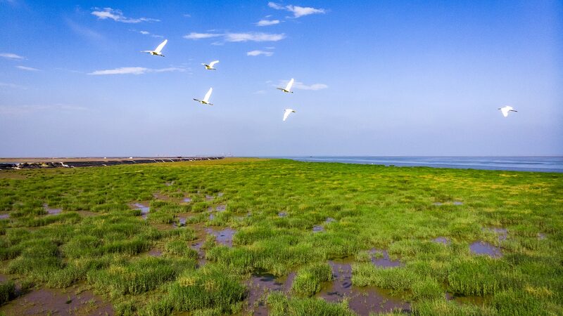 Yellow_River_Delta_Wetlands__Protecting_Our_Common_Future_poster - Khabar Asia Yellow_River_Delta_Wetlands__Protecting_Our_Common_Future video poster
